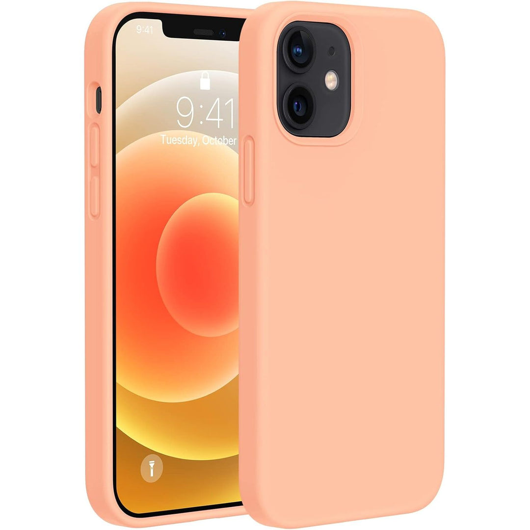 AzureGuard iPhone 12/12 Pro Silicone Shield Case