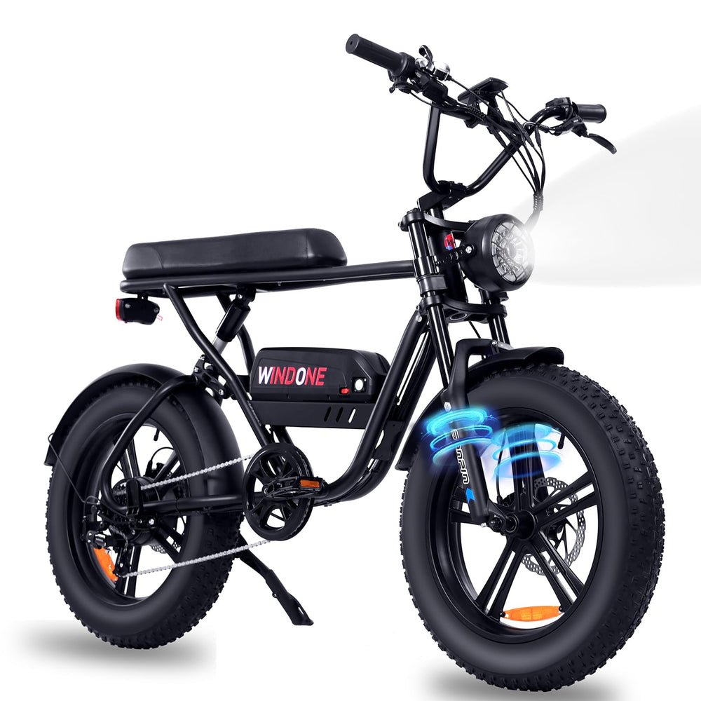 S16/K2 Electric Bike for Adults, Max 22/28MPH Speed & 50 Miles Range (PAS), 750W Peak Motor Ebike with 48V/13Ah Removable Battery, 4.0 Fat Tire and Shock Absorber, UL Certified - DOKUTRONIX