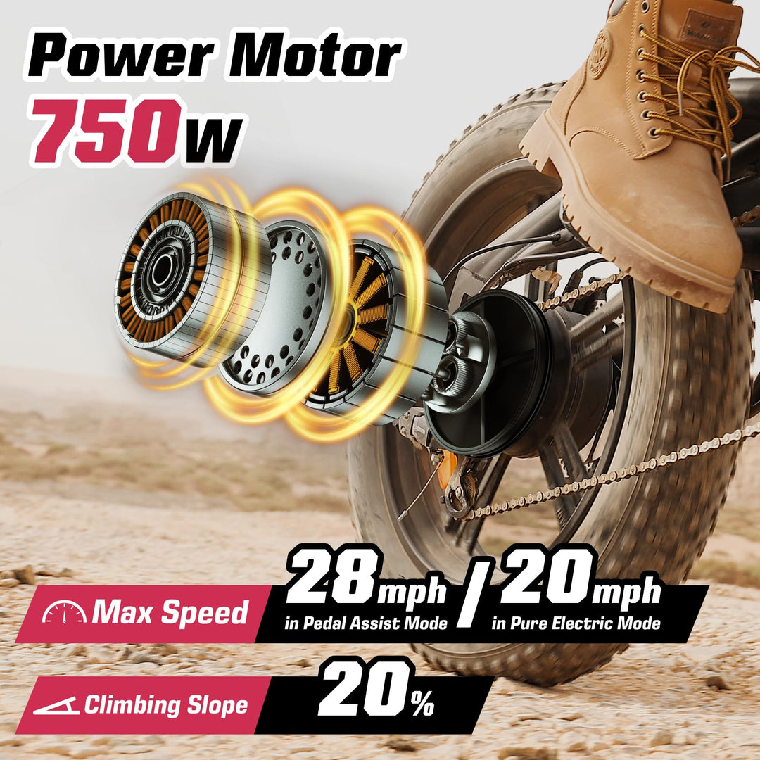 E2/K20 Electric Bike for Adults, 48V 13Ah/15Ah Battery, Up to 28 MPH & 46.6/60 Miles (PAS), 750/1000W Peak Ebike with All-Terrain 20"/26'' Fat Tires, UL Certified, Moped E-Bike - DOKUTRONIX