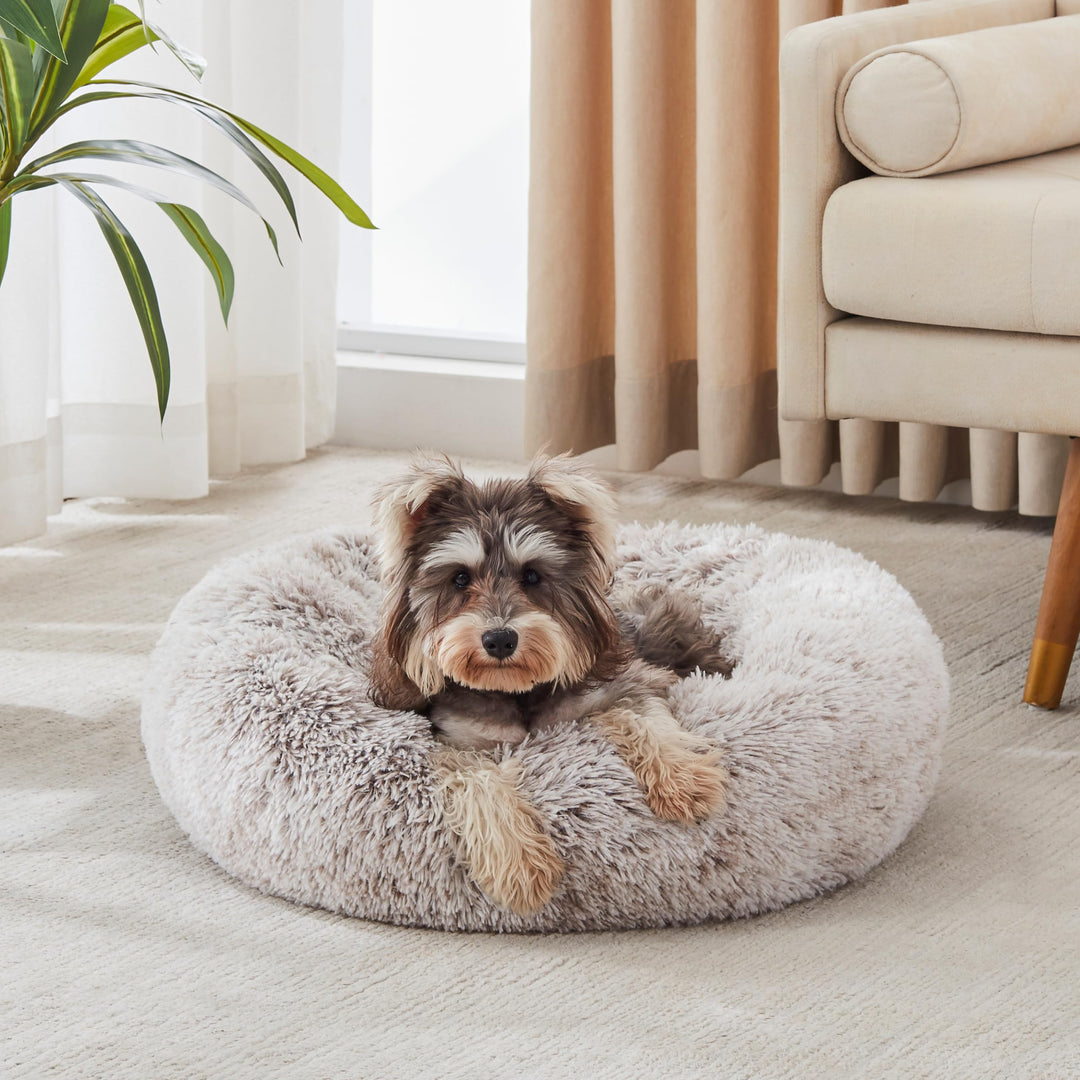 WESTERN HOME Calming Donut Pet Bed – Fluffy & Cozy - DOKUTRONIX