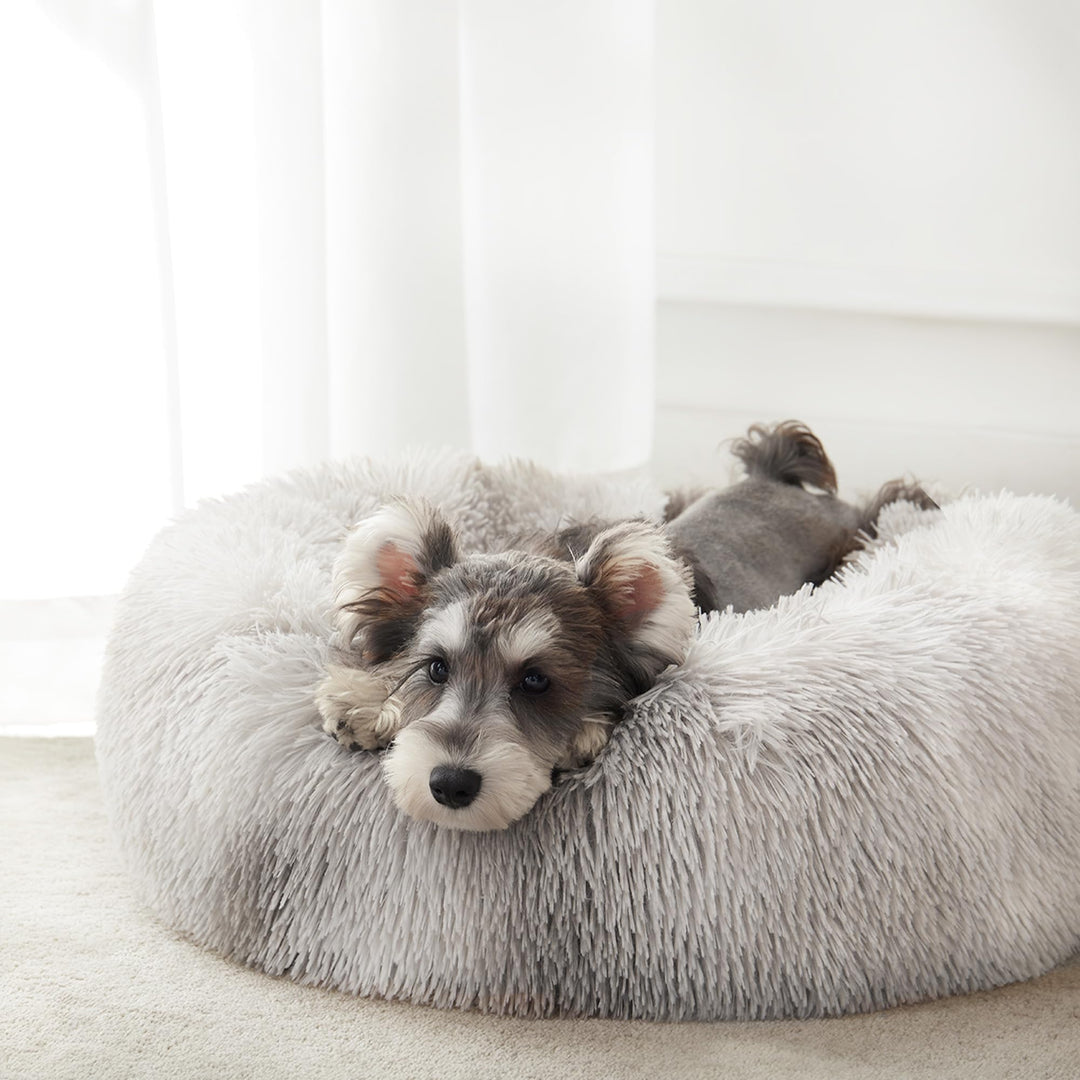 WESTERN HOME Calming Donut Pet Bed – Fluffy & Cozy - DOKUTRONIX