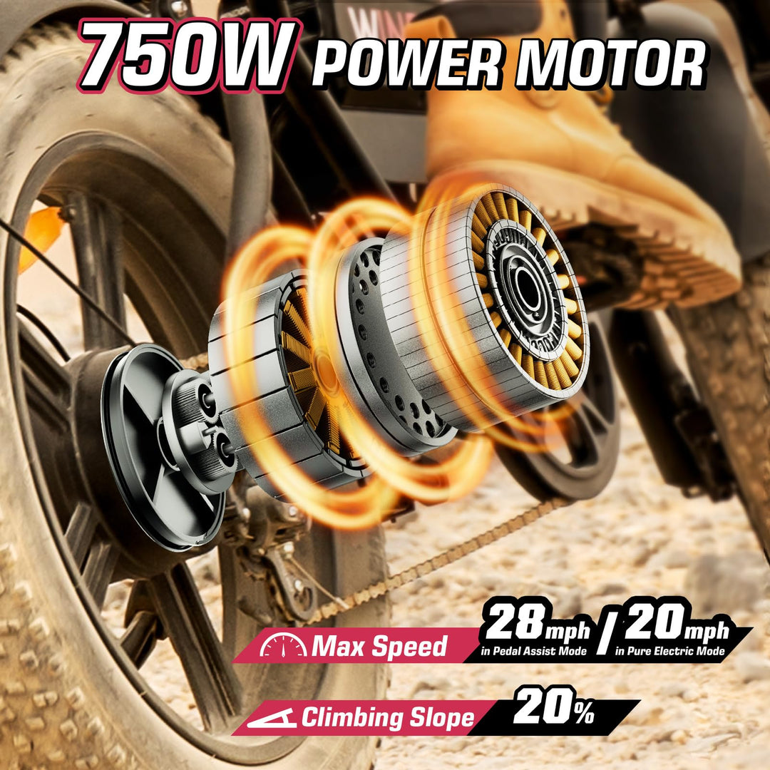 S16/K2 Electric Bike for Adults, Max 22/28MPH Speed & 50 Miles Range (PAS), 750W Peak Motor Ebike with 48V/13Ah Removable Battery, 4.0 Fat Tire and Shock Absorber, UL Certified - DOKUTRONIX