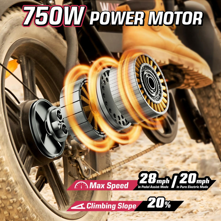 S16/K2 Electric Bike for Adults, Max 22/28MPH Speed & 50 Miles Range (PAS), 750W Peak Motor Ebike with 48V/13Ah Removable Battery, 4.0 Fat Tire and Shock Absorber, UL Certified - DOKUTRONIX