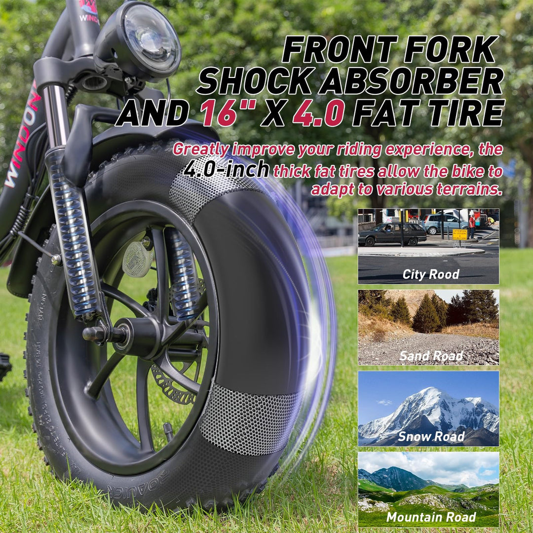 S16/K2 Electric Bike for Adults, Max 22/28MPH Speed & 50 Miles Range (PAS), 750W Peak Motor Ebike with 48V/13Ah Removable Battery, 4.0 Fat Tire and Shock Absorber, UL Certified - DOKUTRONIX