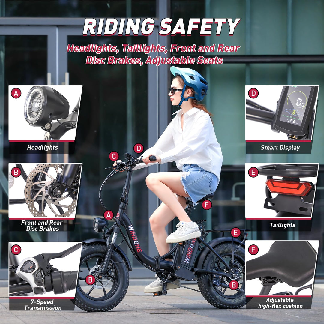 S16/K2 Electric Bike for Adults, Max 22/28MPH Speed & 50 Miles Range (PAS), 750W Peak Motor Ebike with 48V/13Ah Removable Battery, 4.0 Fat Tire and Shock Absorber, UL Certified - DOKUTRONIX