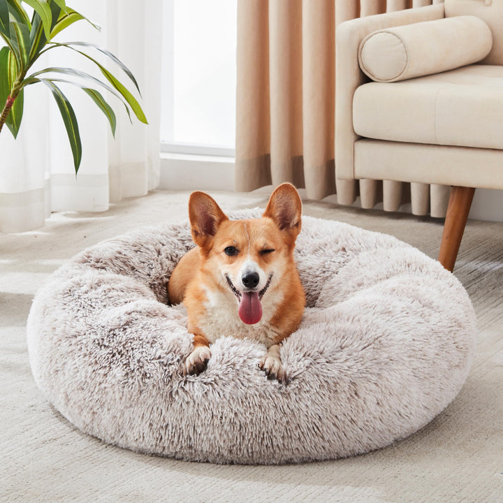 WESTERN HOME Calming Donut Pet Bed – Fluffy & Cozy - DOKUTRONIX
