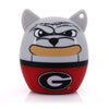 Georgia Bulldogs