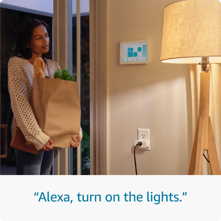 Amazon Smart Plug | Works with Alexa | Simple setup, endless possibilities - DOKUTRONIX