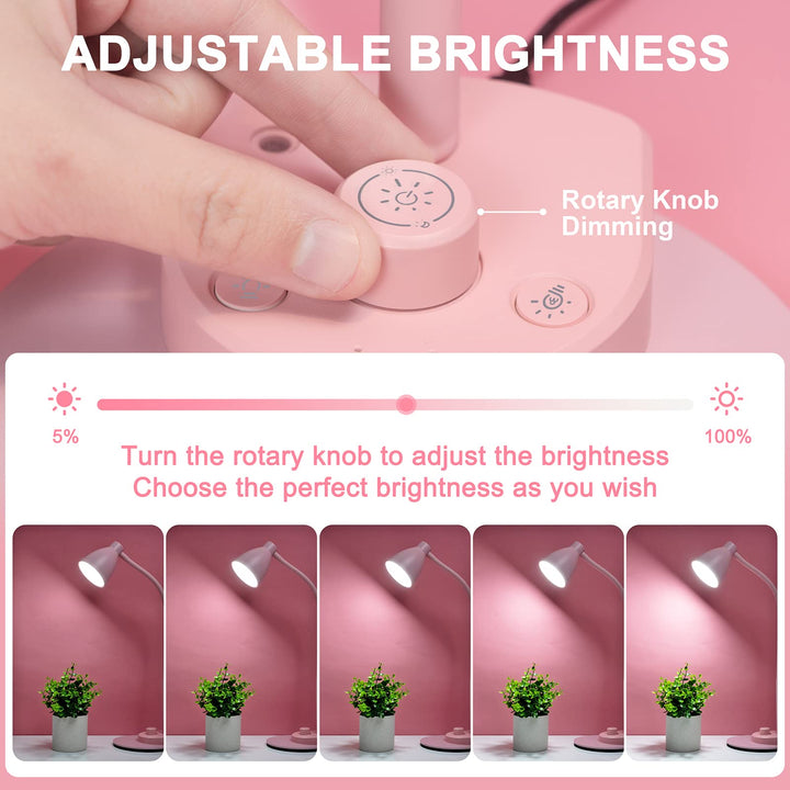 BOHON Pink LED Desk Lamp with USB & 3 Color Modes - DOKUTRONIX