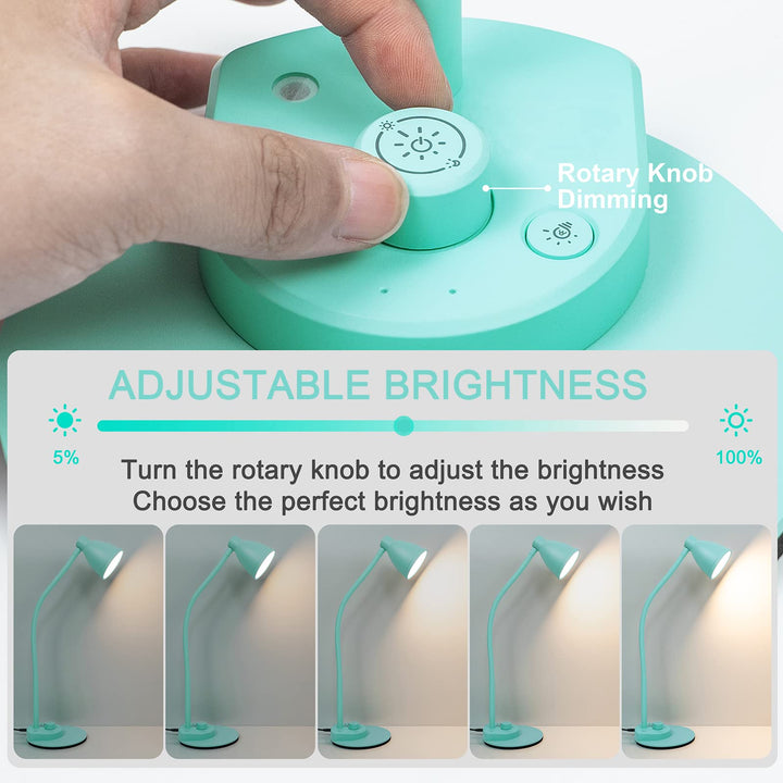 BOHON Flex Desk Lamp - Teal - DOKUTRONIX