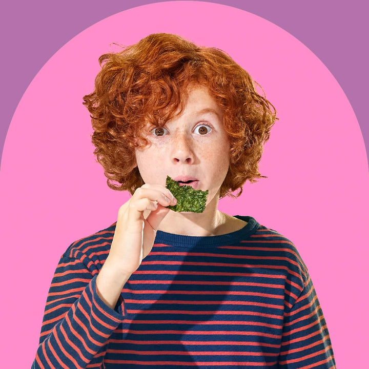 SeaSalt Seaweed Snacks - Iodine & Omega 3 Boost - DOKUTRONIX