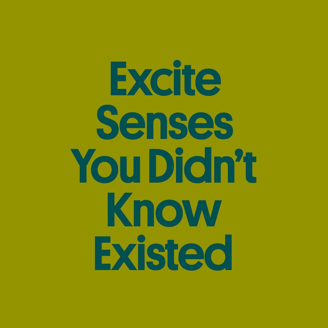 SeaSalt Seaweed Snacks - Iodine & Omega 3 Boost - DOKUTRONIX