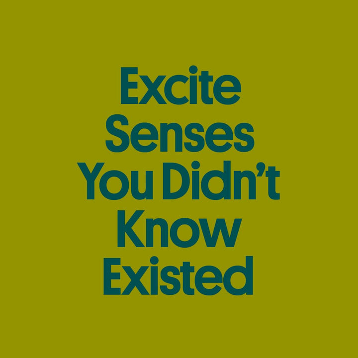 SeaSalt Seaweed Snacks - Iodine & Omega 3 Boost - DOKUTRONIX