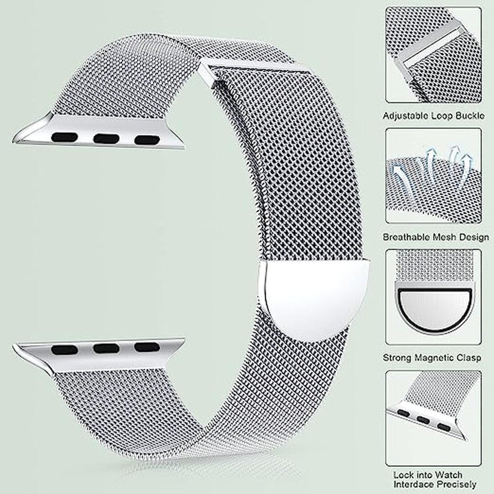 Marge Plus Silver Mesh Loop Apple Watch Band - DOKUTRONIX
