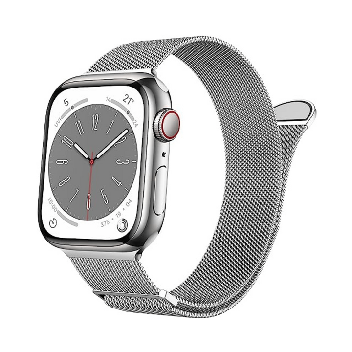 Marge Plus Silver Mesh Loop Apple Watch Band - DOKUTRONIX