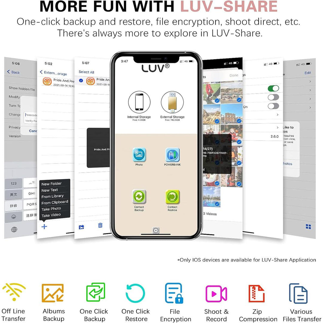 Rose Pink 256GB 4-in-1 iPhone Flash Drive - DOKUTRONIX