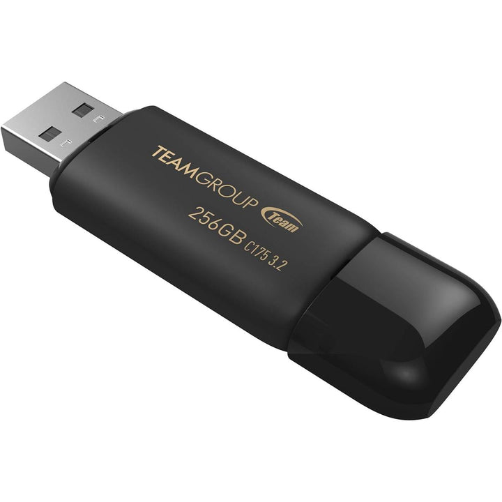 TEAMGROUP 256GB C175 Duo USB Drive - Matte Black - DOKUTRONIX