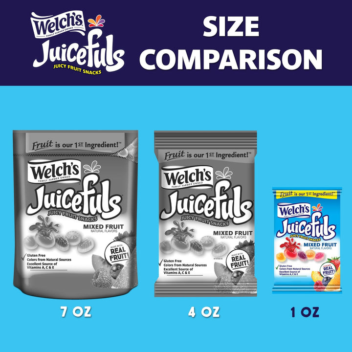 Welch's MixFruit LunchSnacks - DOKUTRONIX