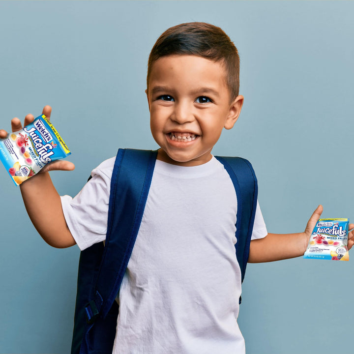 Welch's MixFruit LunchSnacks - DOKUTRONIX