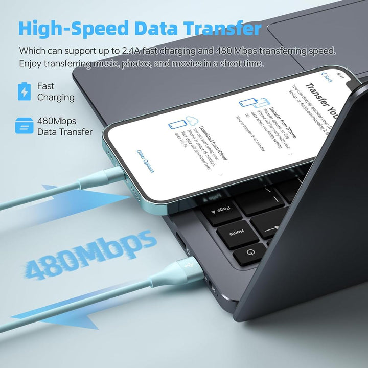 iPower 3-Pack 10FT MFi Lightning Cables - DOKUTRONIX