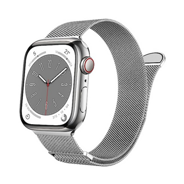 Marge Plus Stainless Steel Mesh Loop Apple Watch Band - Silver