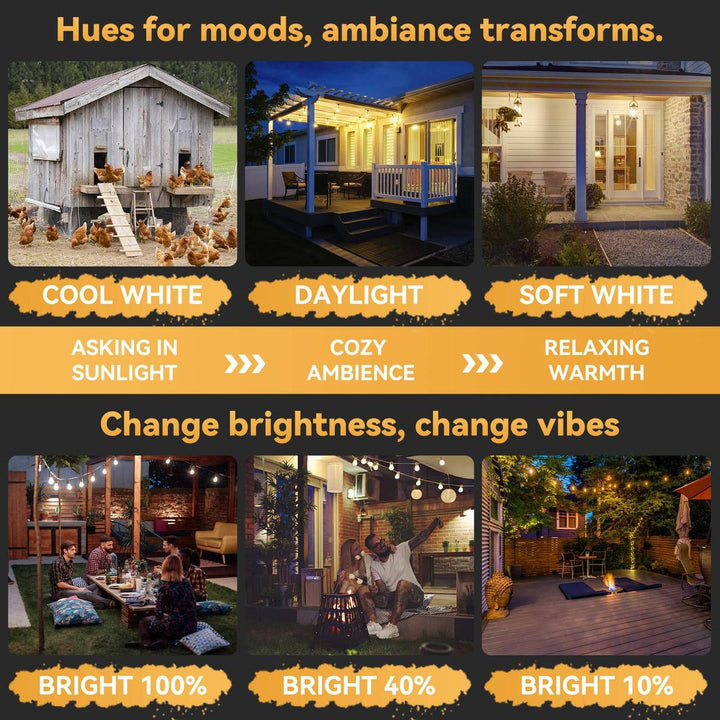 MagicGlow Remote LED Bulbs - 3 Colors, Dimmable Duo - DOKUTRONIX